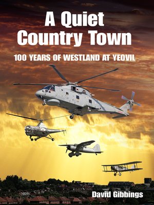 cover image of A Quiet Country Town